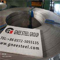 Rustfritt stål S31000 coil